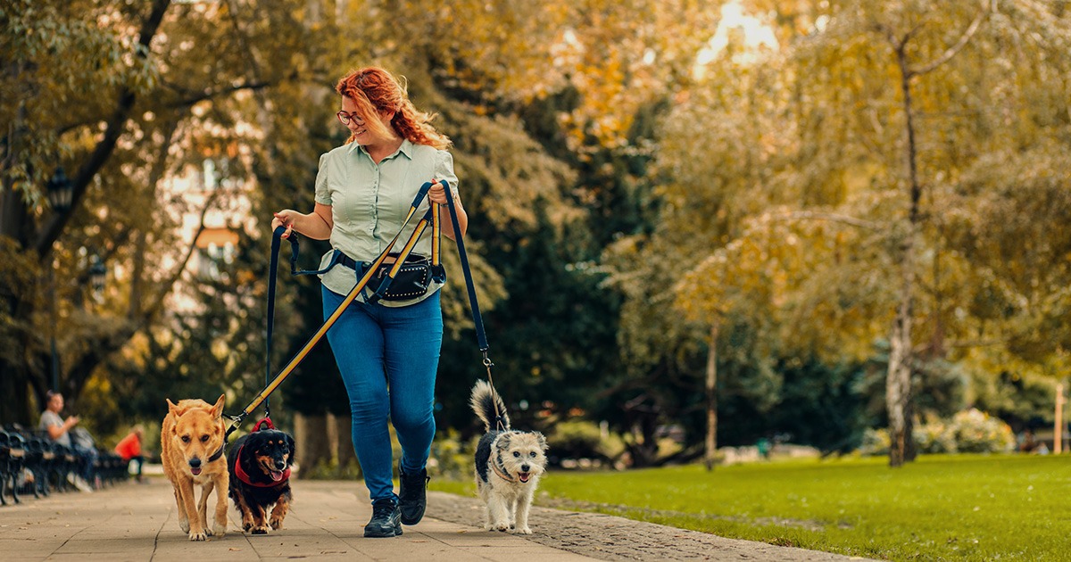 Happy Trails and Home Tails Reliable Dog Walking and Pet Sitting